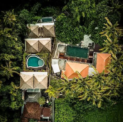 Otel The Pari Sudha Ubud